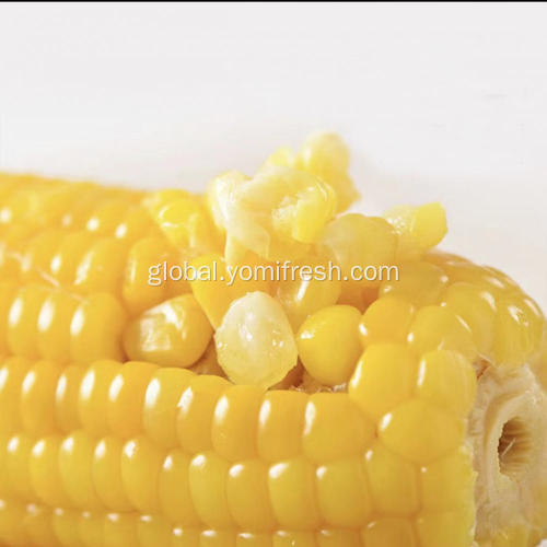 Vacuum Packed Corn Vacuum Seal Corn On The Cob Manufactory